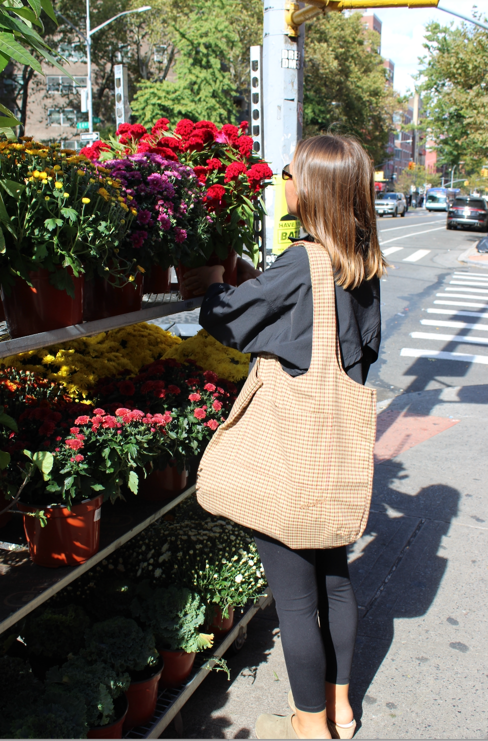 Grocery | Micro Plaid Brown